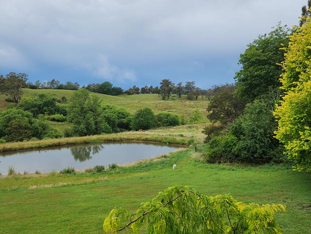 Photo 20 for Willowbank Farm