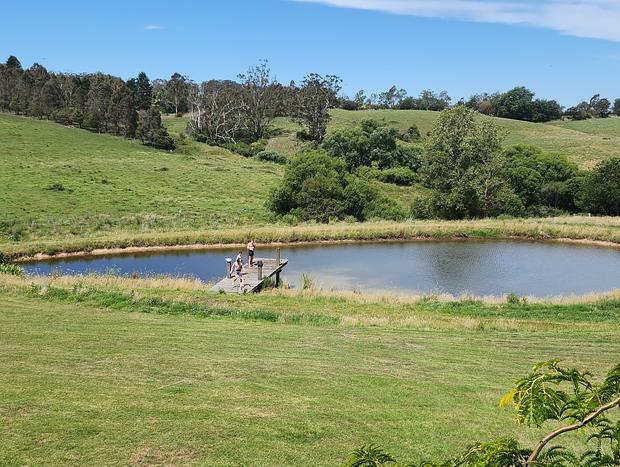 Photo 22 for Willowbank Farm