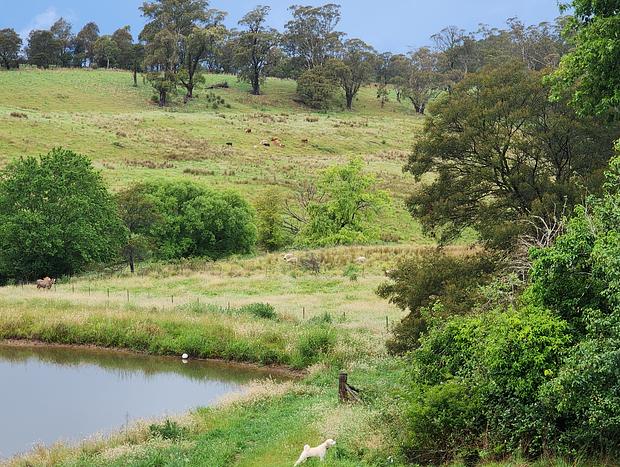 Photo 23 for Willowbank Farm