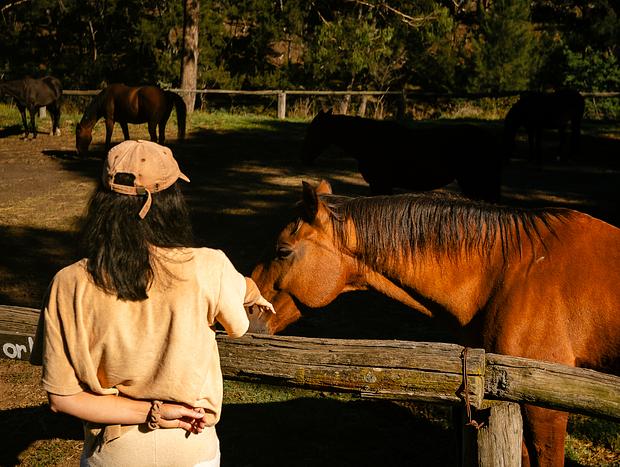 Photo 2 for Explore Turon Gates on Horseback