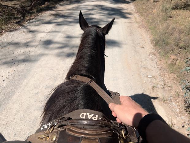 Photo 4 for Explore Turon Gates on Horseback
