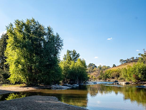 Photo 7 for Riversong Rest: Sustainable Tiny Home on the Murrumbidgee