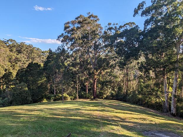 Photo 9 for Whitehawks Cottage in the Otways