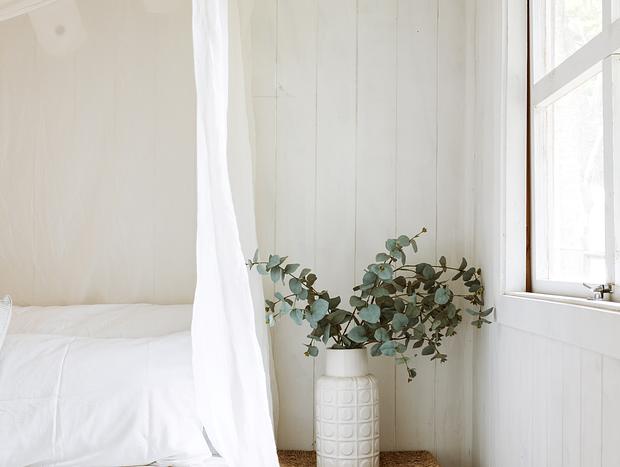 Photo 4 for Wainui River Glamping