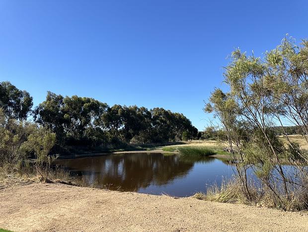 Photo 8 for Waterfront Tiny Home in Farm Stay