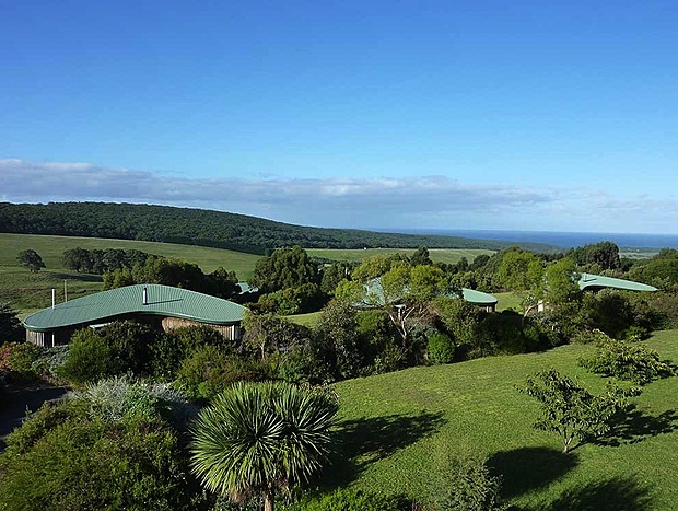 Photo 8 for The Boomerangs : Blue Wren Cottage