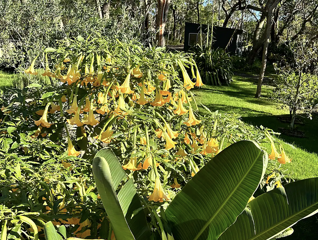 Photo 17 for Home Among The Gumtrees