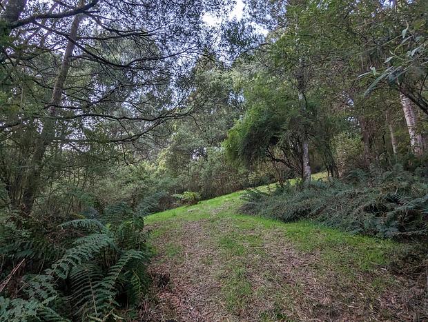 Photo 12 for Whitehawks Cottage in the Otways