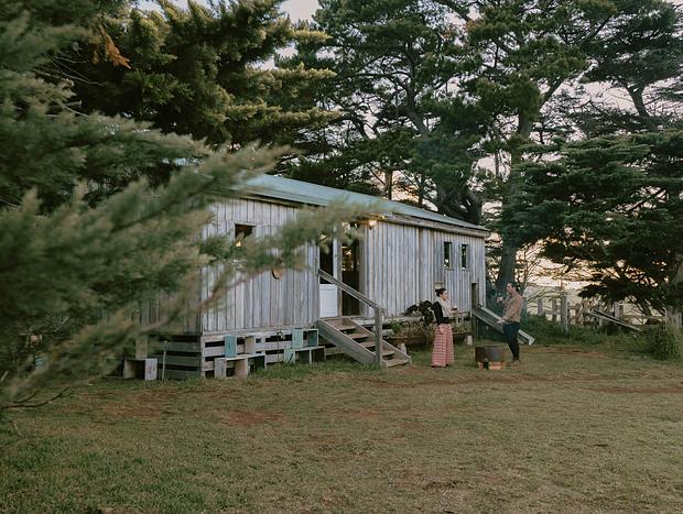 Photo 8 for Sheep Shearing Shed