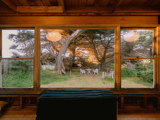 Photo 30 for Sheep Shearing Shed