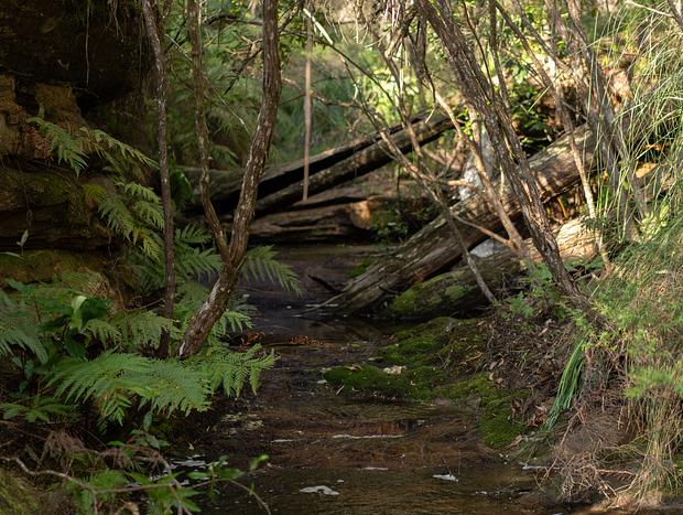 Photo 5 for School Creek Waterfall