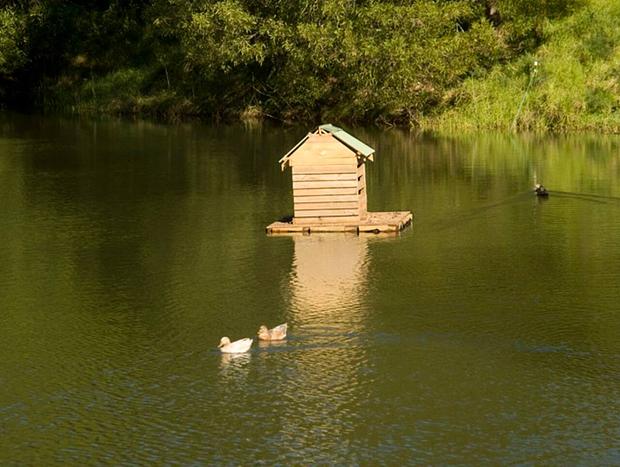 Photo 16 for Lastover Cottage - Kangaroo Valley