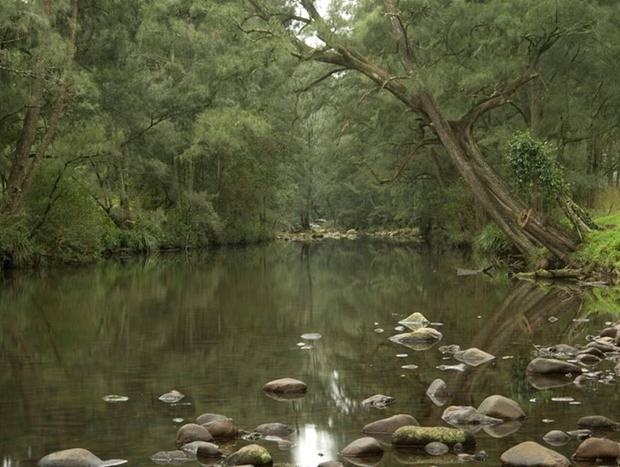 Photo 22 for Lastover Cottage - Kangaroo Valley