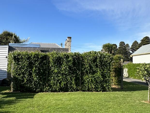 Photo 30 for Port Fairy Loft