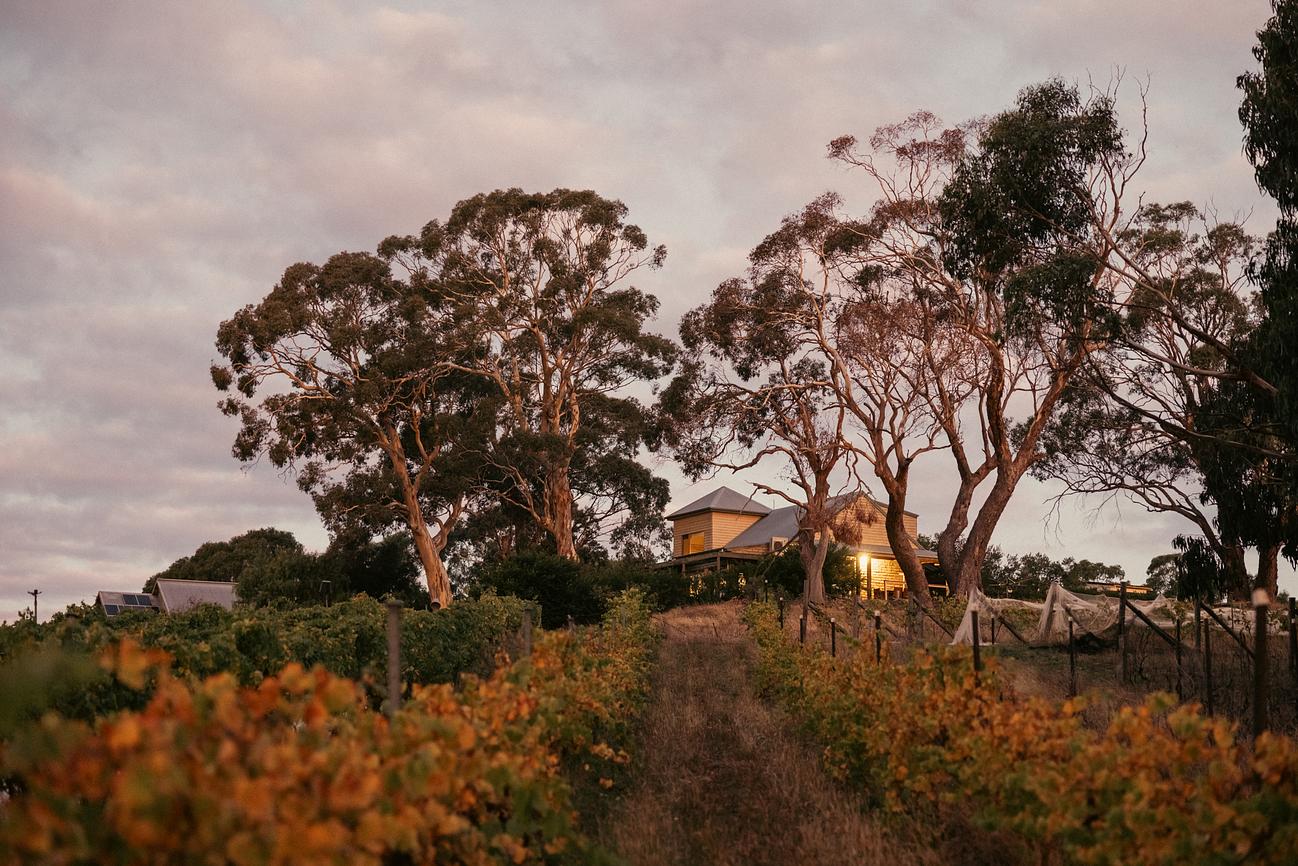 Big Vine House & Caboose at Zig Zag Winery Farm for Rent in Drummond