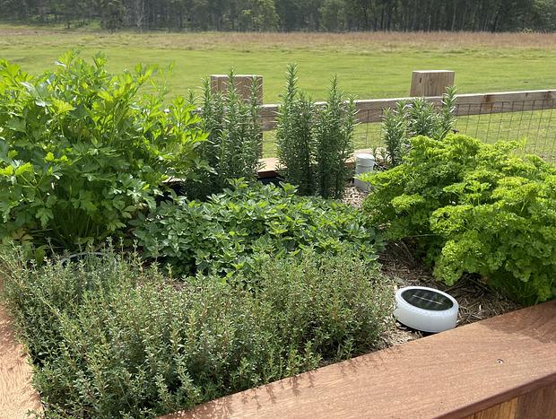 Photo 32 for Peaceful Retreat - Country Views, wood fire, Pet Friendly