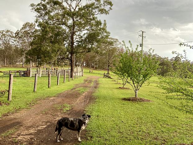 Photo 34 for Peaceful Retreat - Country Views, wood fire, Pet Friendly