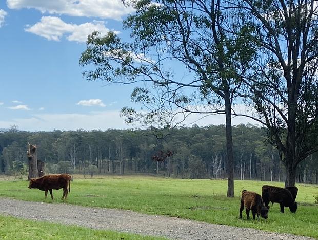 Photo 35 for Peaceful Retreat - Country Views, wood fire, Pet Friendly