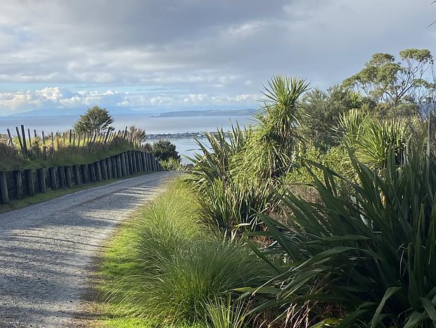 Photo 19 for La Mar Cabin …. a Matakana Coast ocean view retreat