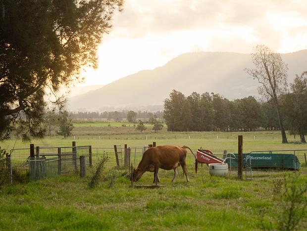Photo 17 for The Antidote - Luxury Off-Grid Romantic Escape