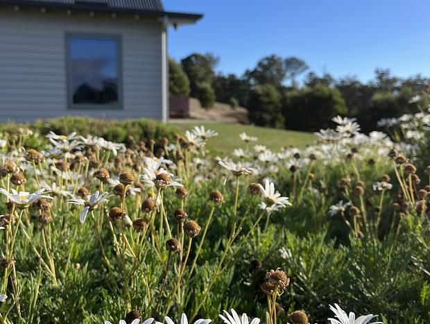 Photo 10 for Couples Farm Retreat with Panoramic Forest Views