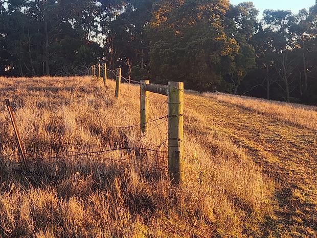 Photo 14 for Couples Farm Retreat with Panoramic Forest Views