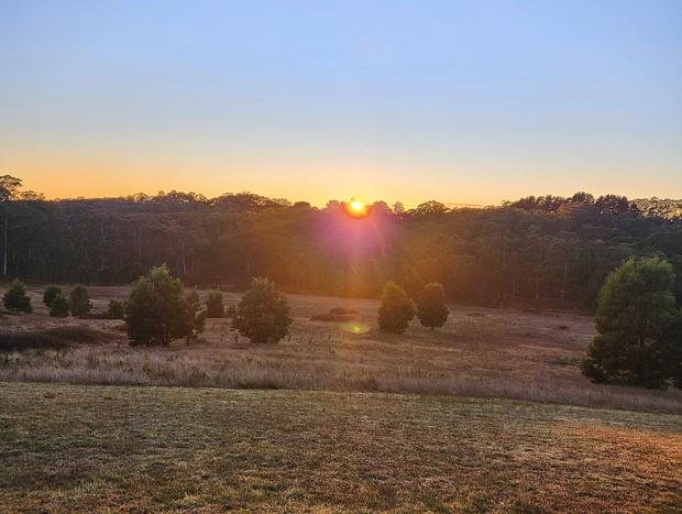 Photo 16 for Couples Farm Retreat with Panoramic Forest Views