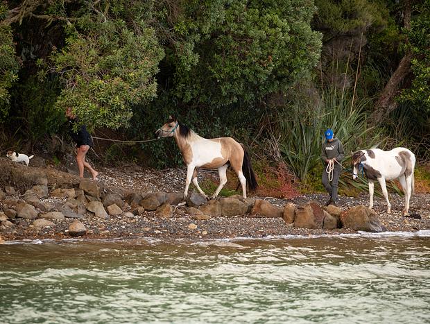 Photo 7 for Horse Treks