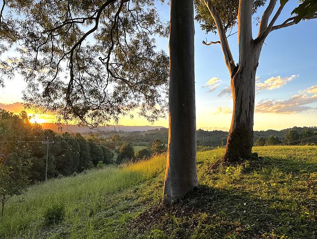 Photo 2 for Sunsets amongst the gumtrees
