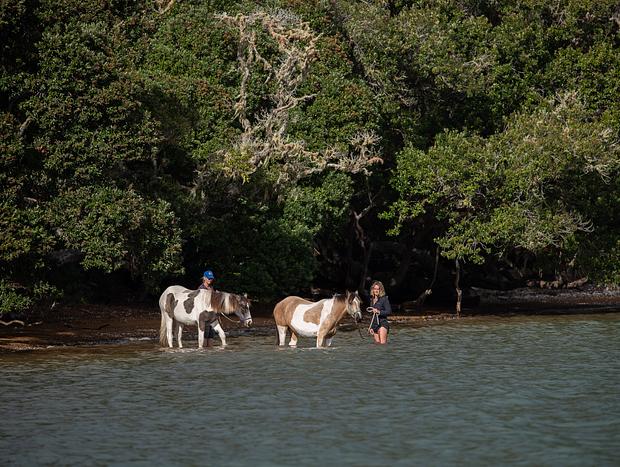 Photo 1 for Horse Treks
