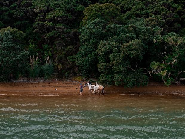 Photo 4 for Horse Treks