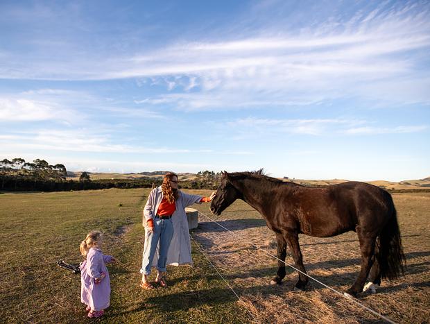 Photo 5 for Horse Treks