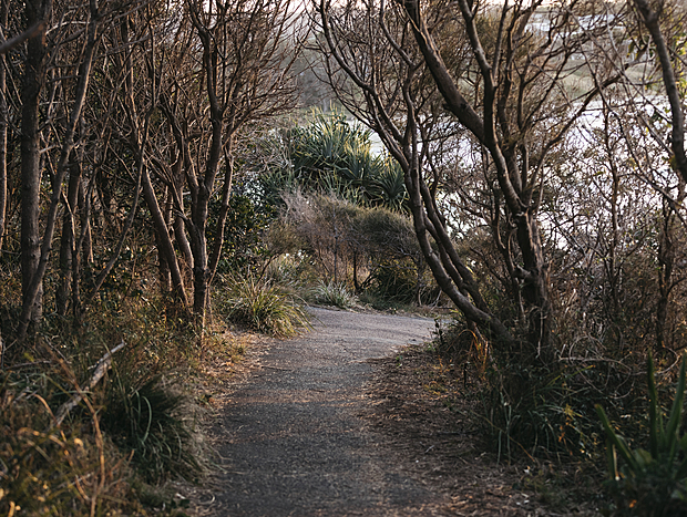 Photo 3 for Headland Walk