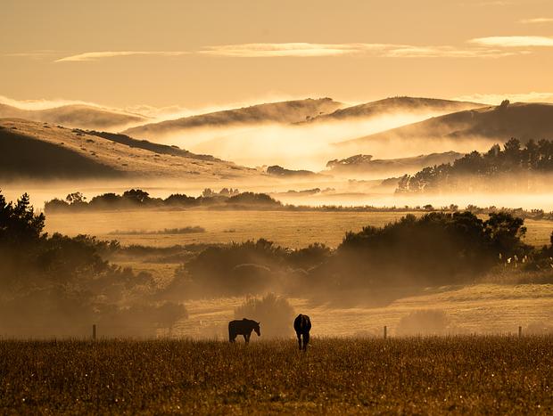 Photo 7 for Go see the horses