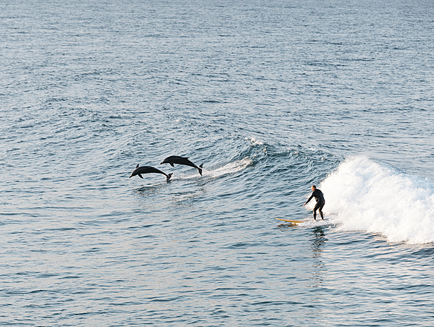 Photo 1 for Surfing the point
