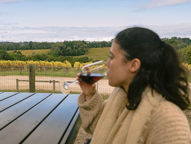 Photo 48 for Mornington Peninsula Paradise