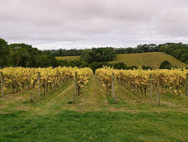 Photo 47 for Mornington Peninsula Paradise