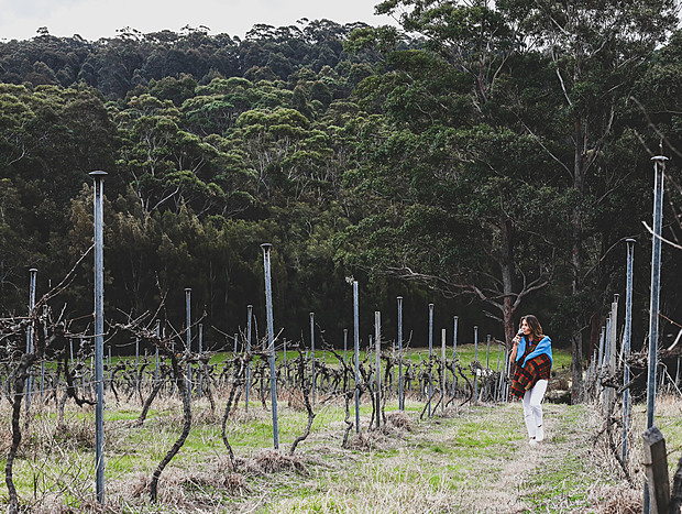 Photo 3 for Wine & Dine at Tilba Valley Winery & Alehouse