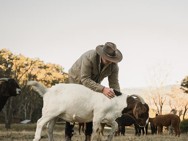 Photo 13 for Bluestone Ridge - The Goat