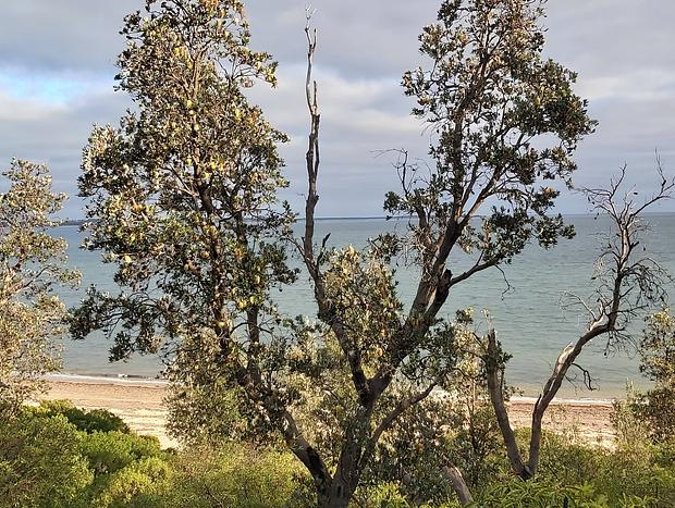 Photo 26 for Lochbuie Beach House