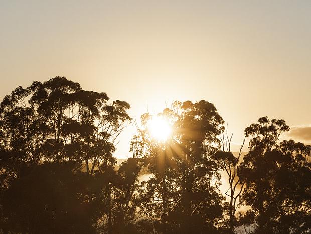 Photo 35 for Forrest Haus retreat - luxury in Otways hinterland