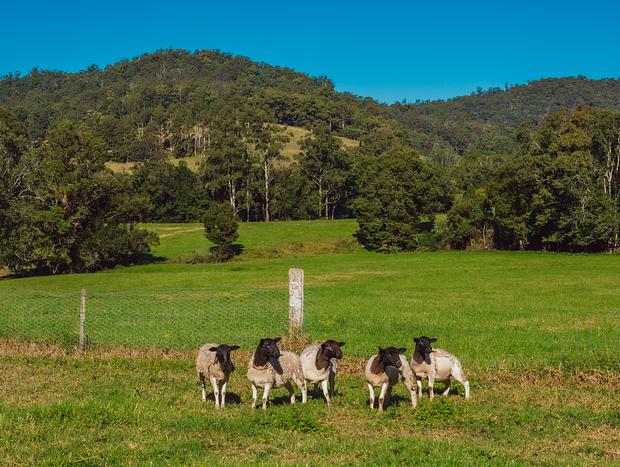Photo 5 for Exploring the property & making friends