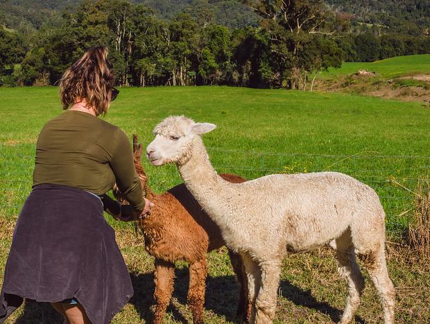 Photo 1 for Exploring the property & making friends
