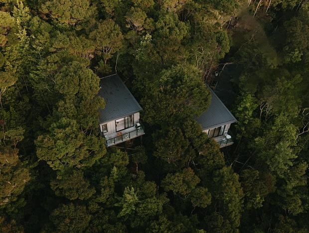 Photo 17 for Treetop Tranquility @ Rekindle Tree Houses