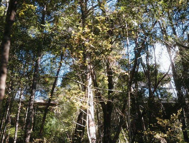 Photo 16 for Treetop Tranquility @ Rekindle Tree Houses