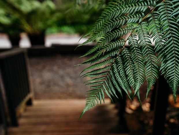 Photo 15 for Luxury Treetop Escape - perfect winter escape with a glasshouse!
