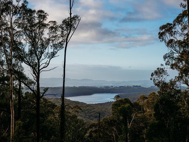 Photo 56 for Luxury Treetop Escape - perfect winter escape with a glasshouse!