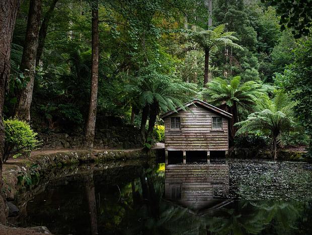 Photo 41 for Luxury Treetop Escape - perfect winter escape with a glasshouse!