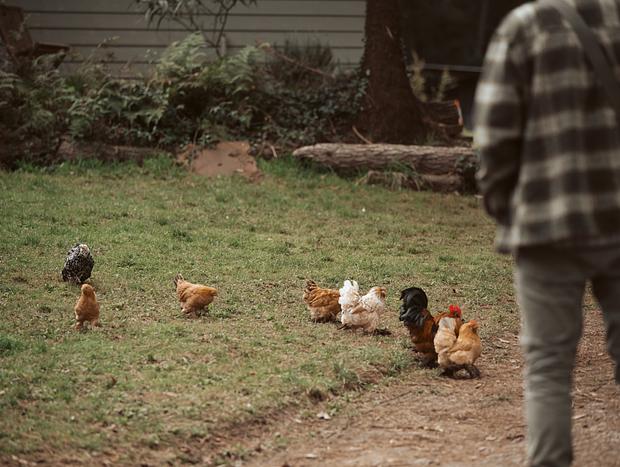 Photo 16 for Wood Cabin Farm Stay