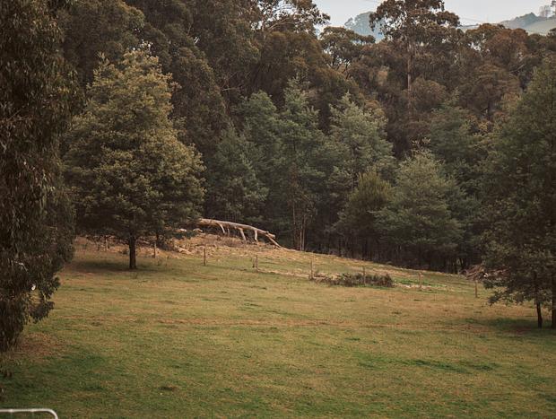 Photo 11 for Wood Cabin Farm Stay
